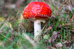 HASICI_2025_CHATA-79